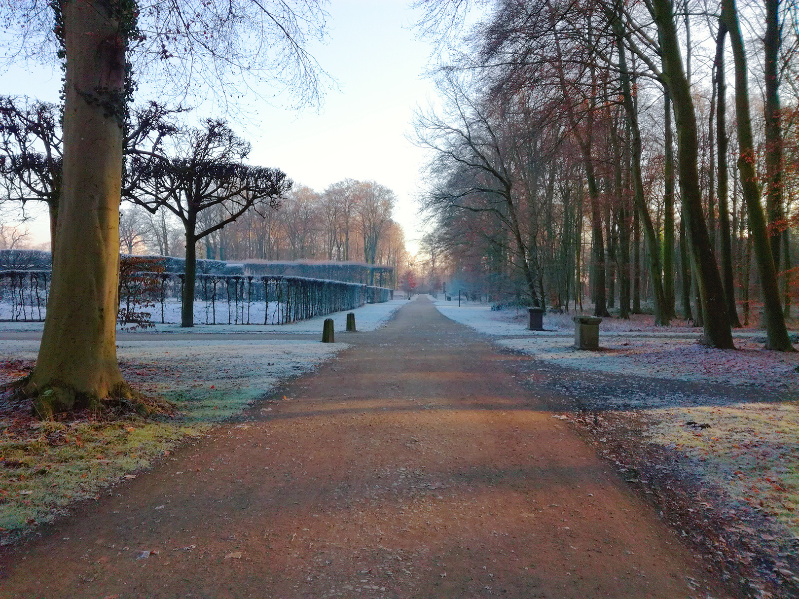 Frosty Morning Path